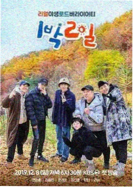 户外治愈综艺星空露营计划在线观看封面